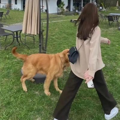 真的要去航海 第二季
